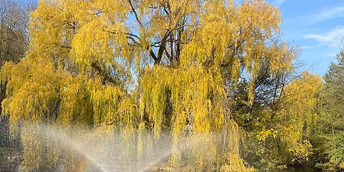 Angelic Reiki I & II Practitioner