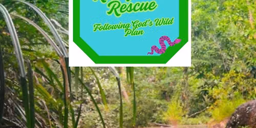 Rainforest Rescue VBS