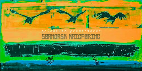S\u00d8RNORSK KRIGF\u00d8RING 4 \/\/ lene3000 \/\/ Electronica