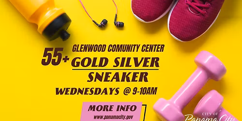 Gold Silver Sneaker