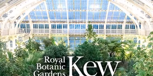 Temperate House Yoga Experience at The Royal Botanic Gardens, Kew