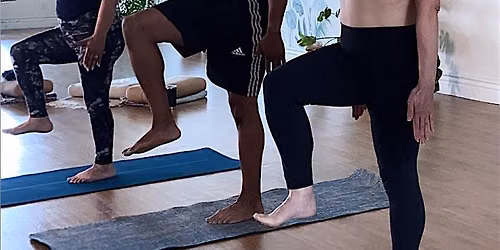 Yoga Posture Alignment Workshop