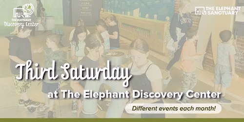 Third Saturday: Meet the Elephant Vet Team