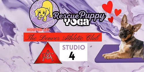 Rescue Puppy Yoga - The Denver Athletic Club