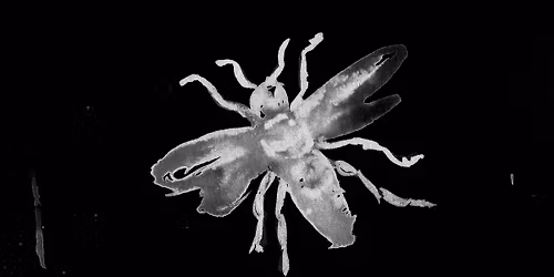 DOME_LIVE 038 A b\u00f6g\u00f6ly, a l\u00f3dar\u00e1zs \u00e9s a cinc\u00e9r || Modul\u00e1ris mini-opera a Hangd\u00f3mban