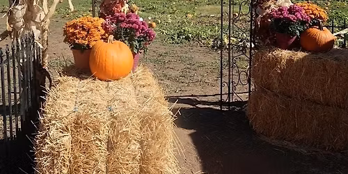 Mizel Family Foundation You Pick Pumpkin Days