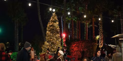 Tree Lighting Ceremony