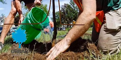 Drake Neighborhood Tiny Tree Planting