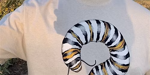 Wild Nite Nature Presentation - Monarch Butterfly Migration