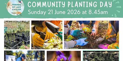 Friends of Lake Gwelup Planting Day