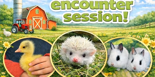 Fluffy friends animal encounter session