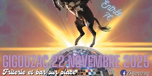 Zigouzag !  22 NOVEMBRE - Marty Went Back \/ Noise Annoys \/ MC KER\u00b76 \/ CCTEMPLE