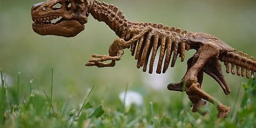 Dino Dig
