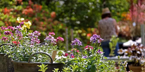 Specialist Spring Plant Fair