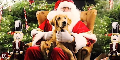 Madame Ma's Christmas Fun Day & Santa Paws Meet!