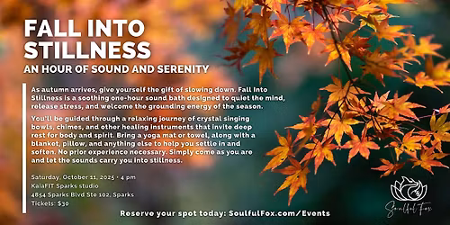 Fall Into Stillness