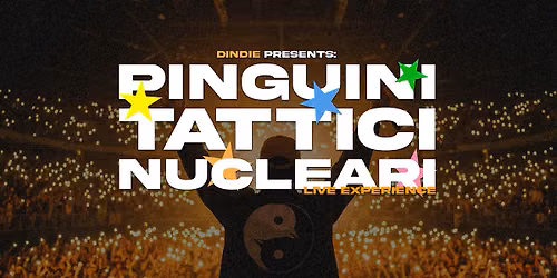 Dindie - PTN Live Experience
