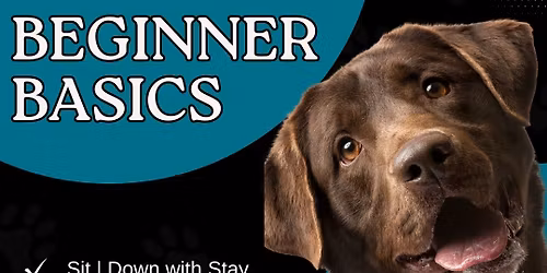 Beginner Basics