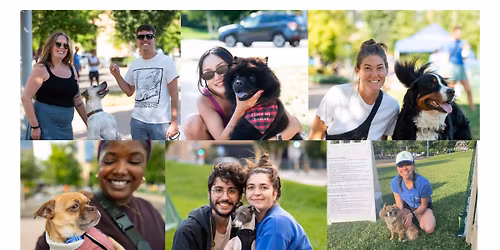 Pop-Up Dog Park
