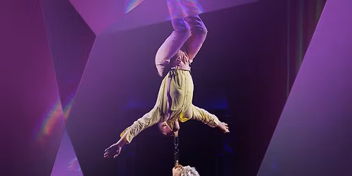 La Noce d'Alfonse at Le Diamant