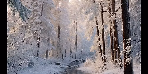 Winter Wonderland in Pink Gala