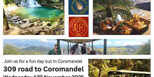 The 309 Road to Coromandel and return to Whitianga 