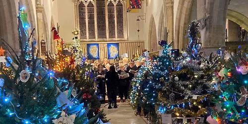 Cuckfield Christmas Tree Festival