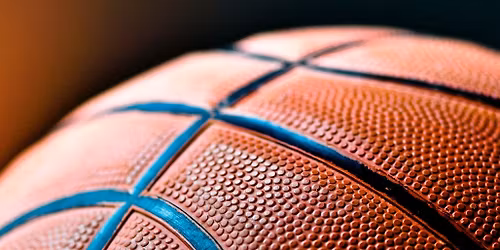 Colorado Springs Mountain Lions at Denver Pioneers Mens Basketball at Hamilton Gym - Denver