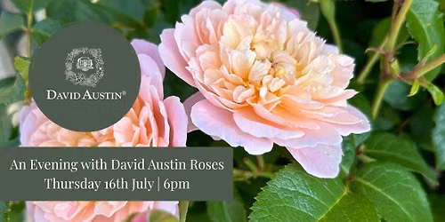 An Evening with David Austin Roses