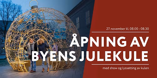 \u00c5pning av byens julekule