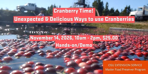 Cranberry Time! Unexpected & Delicious Ways to use Cranberries