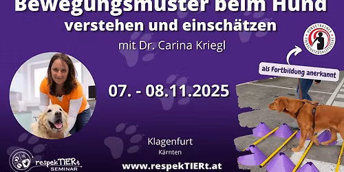 Bewegungsmuster beim Hund verstehen und einsch\u00e4tzen mit Dr. Carina Kriegl