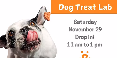 Dog Treat Lab