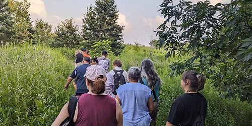 Wander and Wonder \/\/ Promenade et \u00e9merveillement