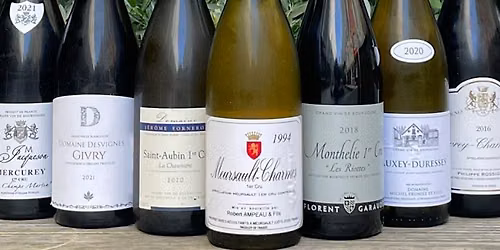 The Wines of Burgundy (in 90 Minutes)