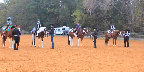 2026 TEC All-breed Horse Show - Double Judged