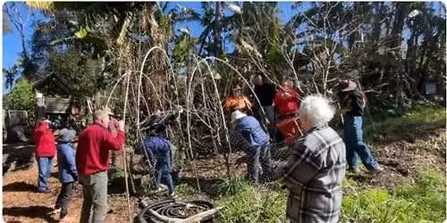 Pruning Workshop - Hands On for Home Gardeners & Site Tour