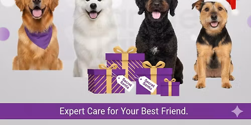 Secret Santa Pawty!!!