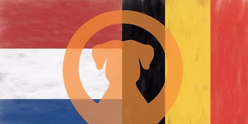 \ud83c\udde7\ud83c\uddea\ud83c\uddf3\ud83c\uddf1 Interland Detectie \ud83c\uddf3\ud83c\uddf1\ud83c\udde7\ud83c\uddea