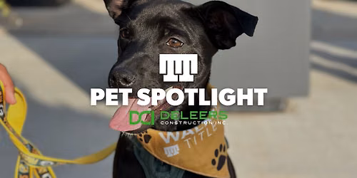 Pet Spotlight