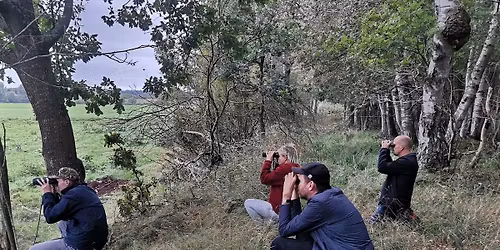 Rovfugletr\u00e6k i Naturpark \u00c5mosen