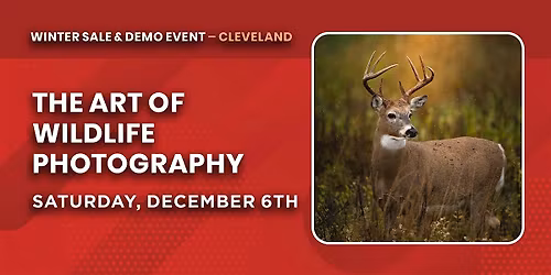 The Art of Wildlife Photography | Cleveland, OH