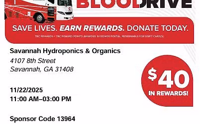 Blood Drive at Wild Seed Market with The Blood Connection