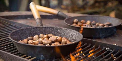 Christmas Trees & Winter Fayre