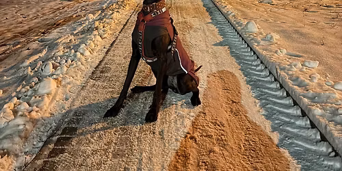 Zimn\u00ed v\u00edkendovka J\u010cPA 1\/2026