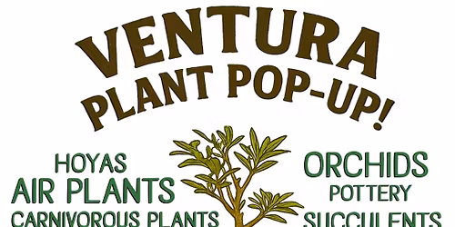 Ventura Plant Pop-Up!