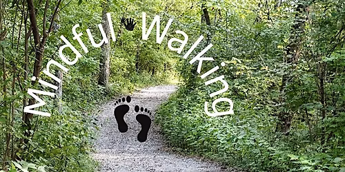 Mindful Sensory Walk
