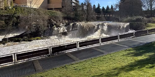 Ink & Intimacy: Walk, Talk & Connect in Nature