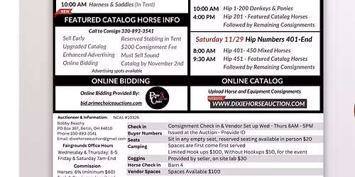 Attending Dixie Horse Auction 