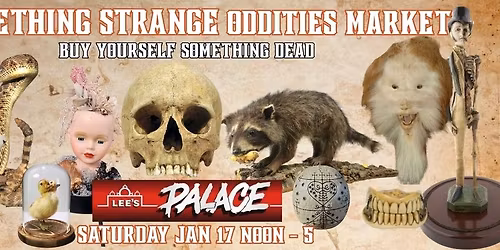 Something Strange Oddities Market 